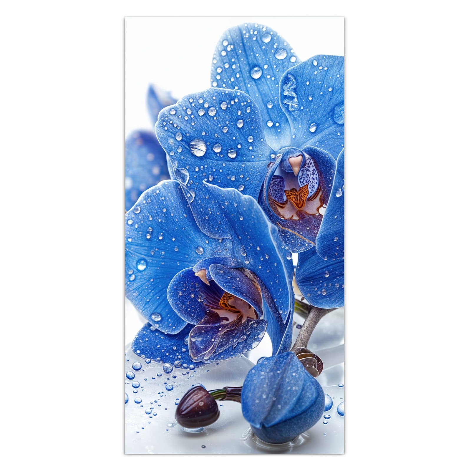 #grösse_30 x 60 cm #grösse_40 x 80 cm #grösse_50 x 100 cm #grösse_55 x 110 cm #grösse_60 x 120 cm