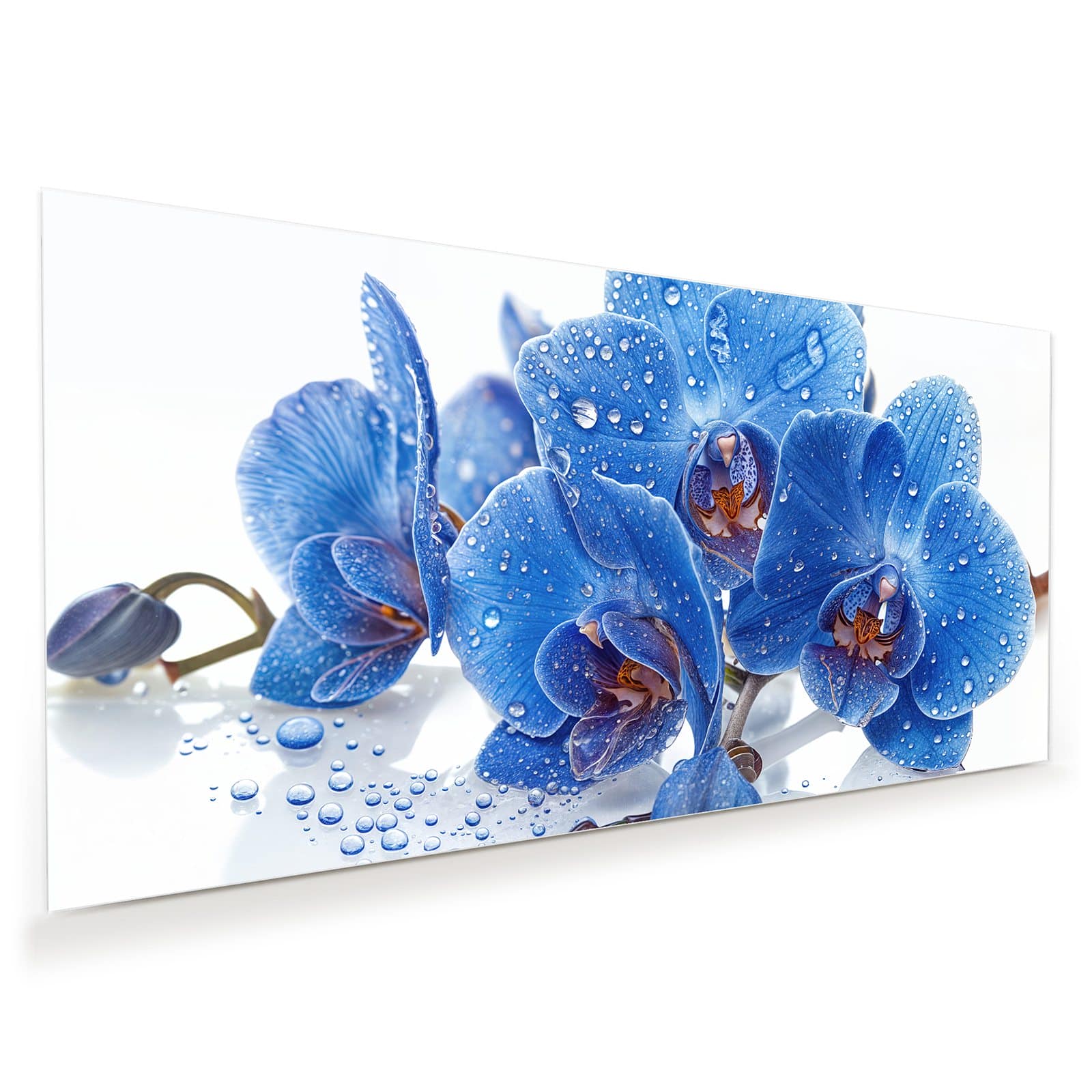 #grösse_60 x 30 cm #grösse_80 x 40 cm #grösse_100 x 50 cm #grösse_110 x 55 cm #grösse_120 x 60 cm