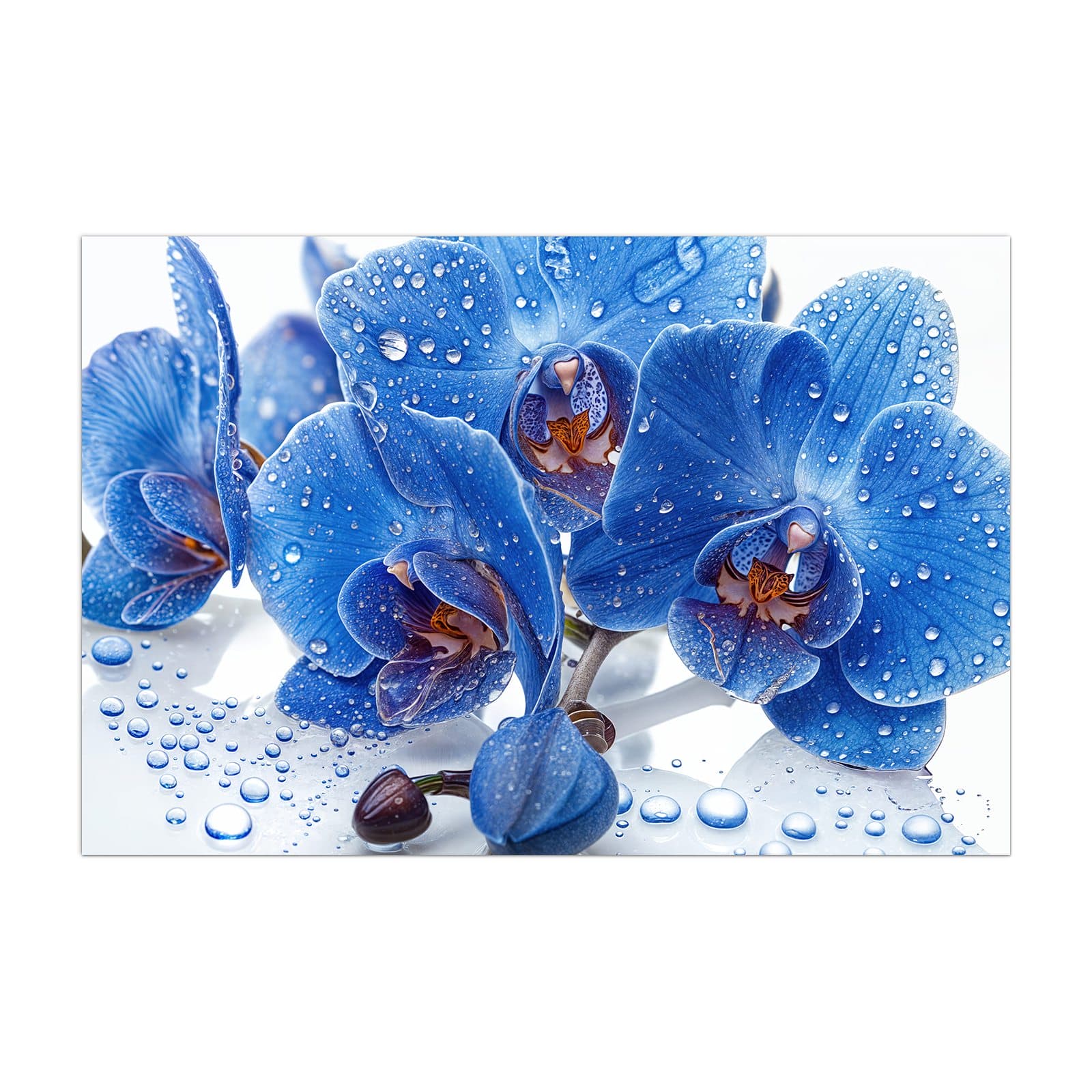 #grösse_40 x 60 cm #grösse_50 x 75 cm #grösse_60 x 90 cm #grösse_80 x 120 cm