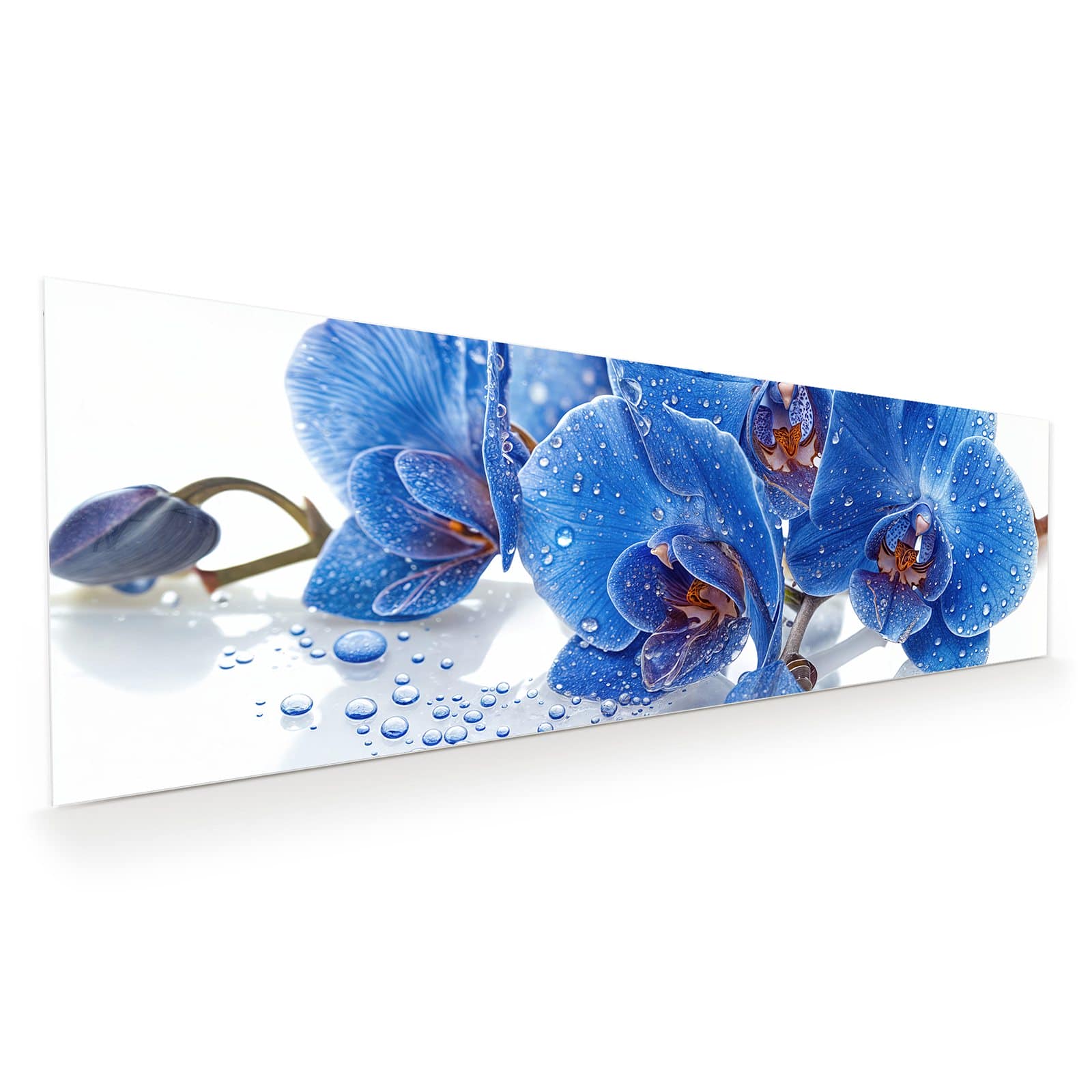 #grösse_120 x 40 cm