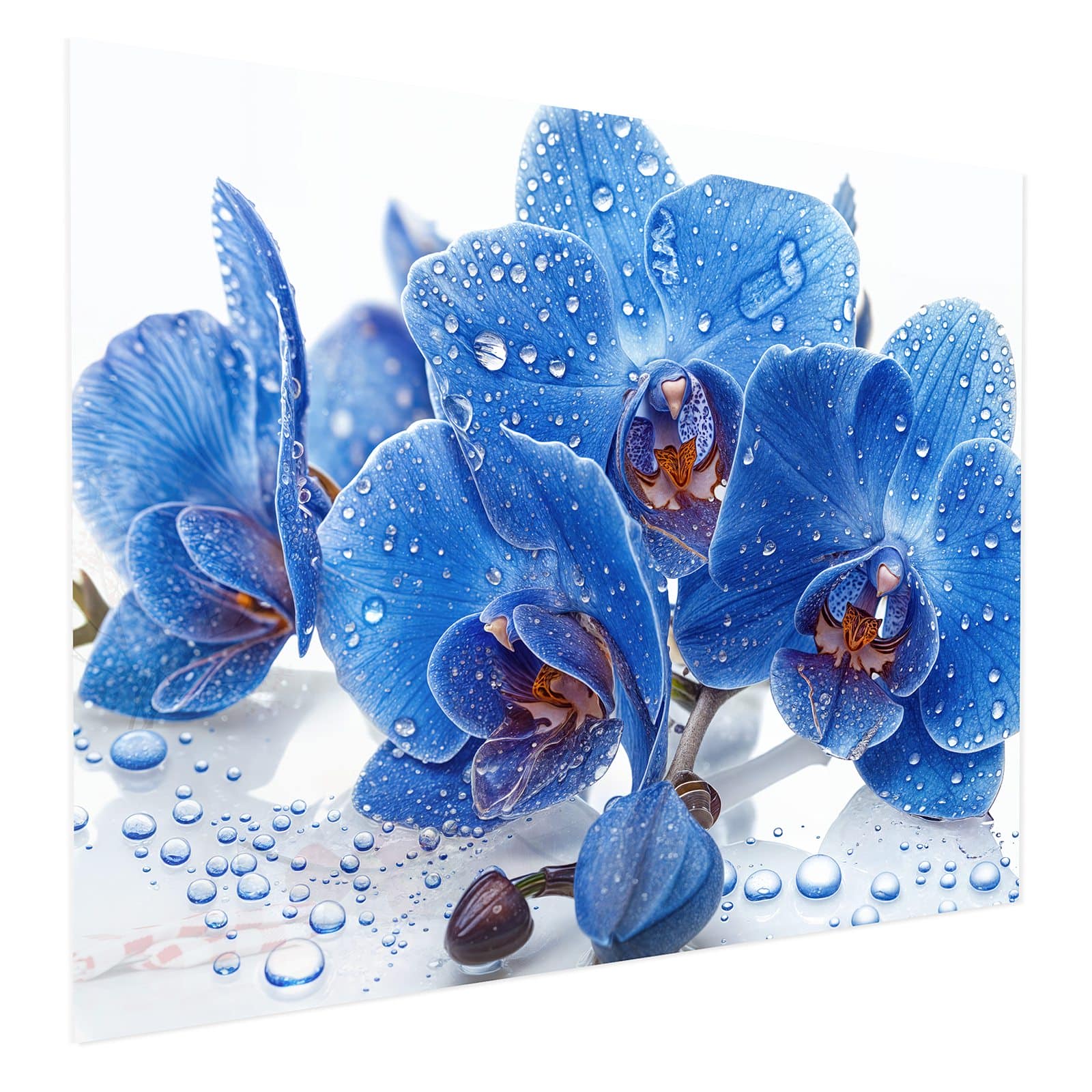 #grösse_75 x 60 cm #grösse_100 x 80 cm