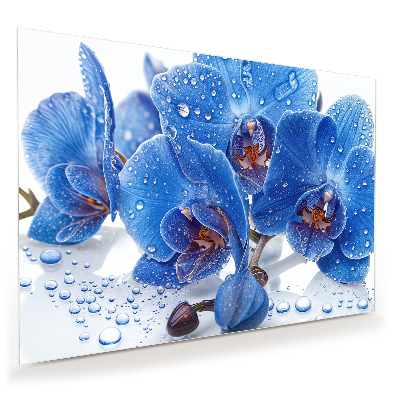 #grösse_100 x 70 cm