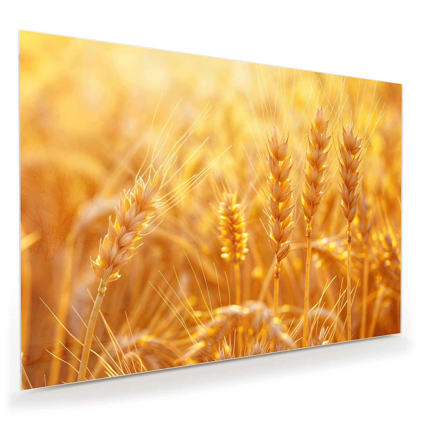 #grösse_100 x 70 cm