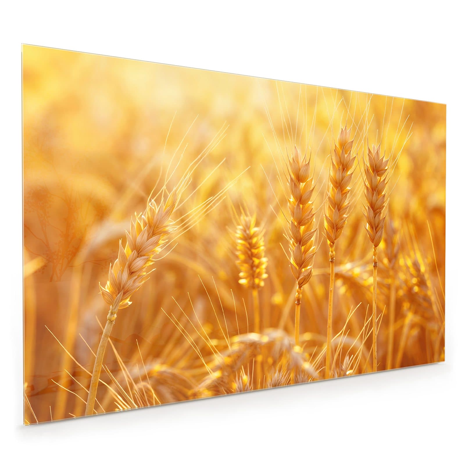 #80 x 120 cm_