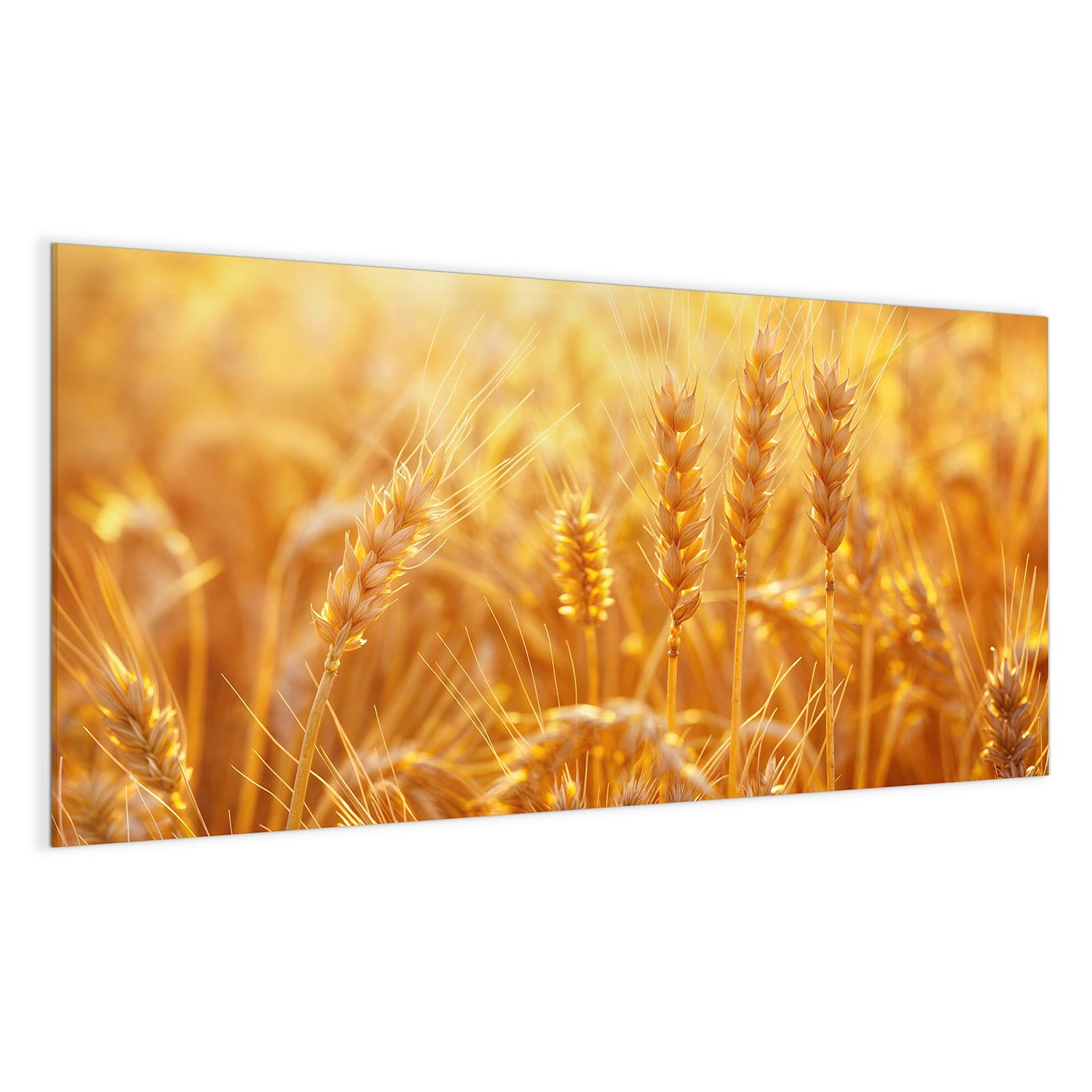 #grösse_100 x 50 cm