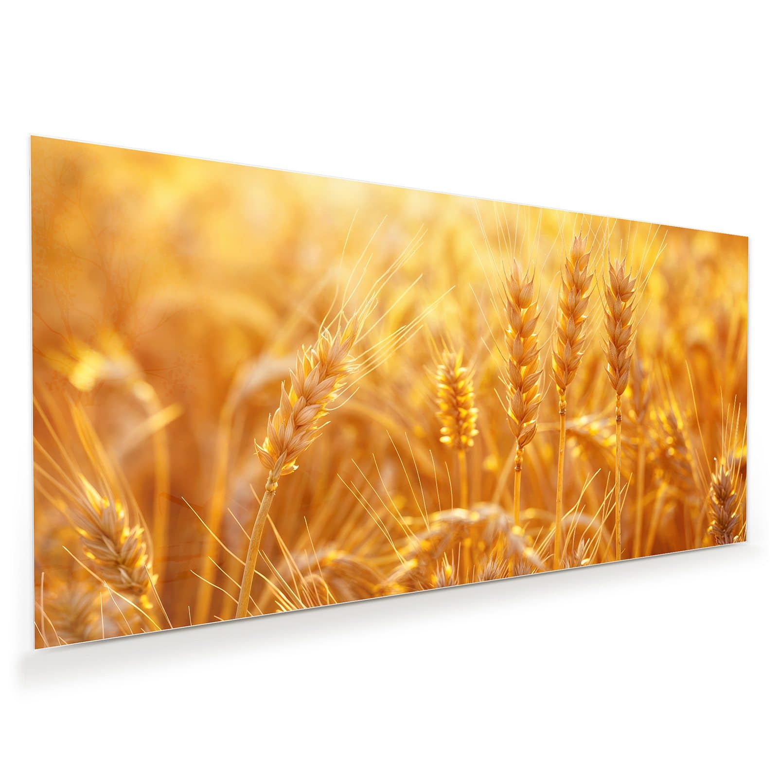 #grösse_60 x 30 cm #grösse_80 x 40 cm #grösse_100 x 50 cm #grösse_110 x 55 cm #grösse_120 x 60 cm