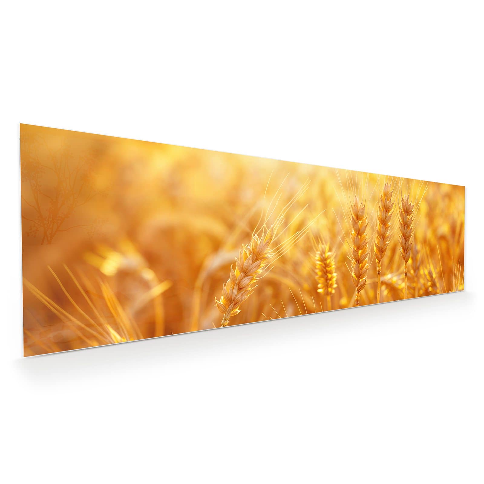 #grösse_120 x 40 cm