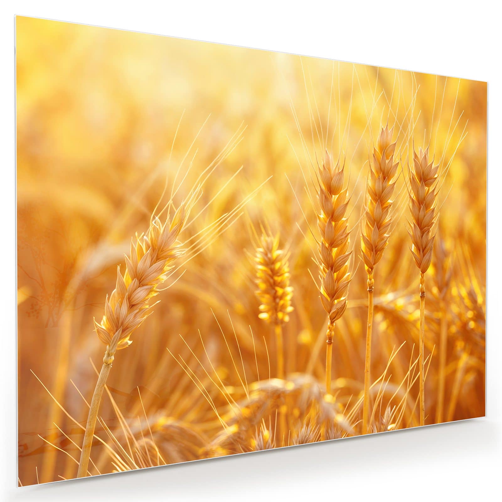 #grösse_80 x 60 cm #grösse_100 x 75 cm #grösse_120 x 90 cm