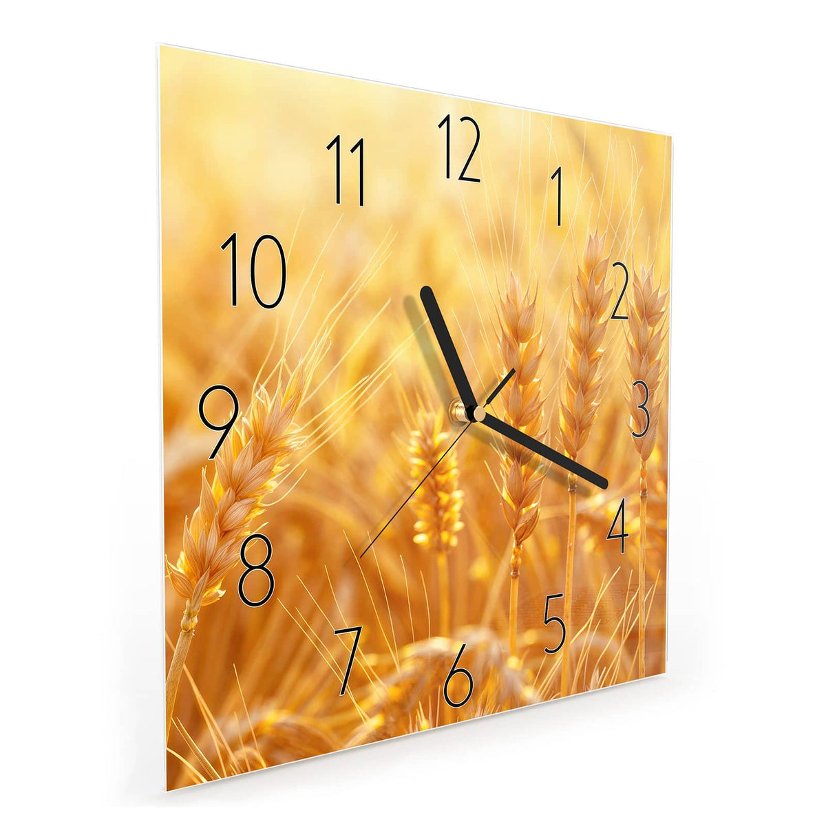 Quadratische Wanduhr aus Glas Weizen im Gegenlicht schräg von der Seite, 4 mm starkes Glas
