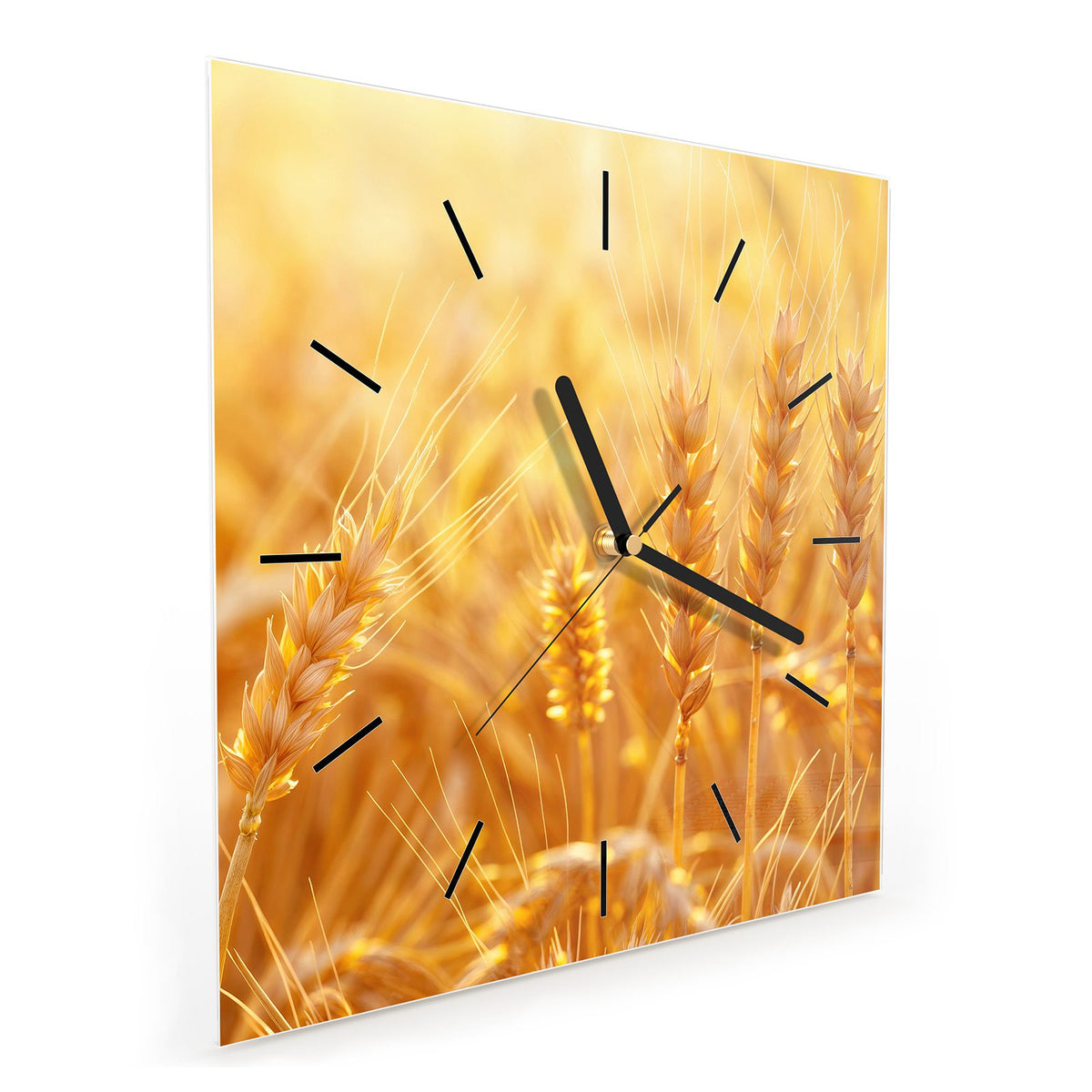 Quadratische Wanduhr aus Glas Weizen im Gegenlicht schräg von der Seite, 4 mm starkes Glas