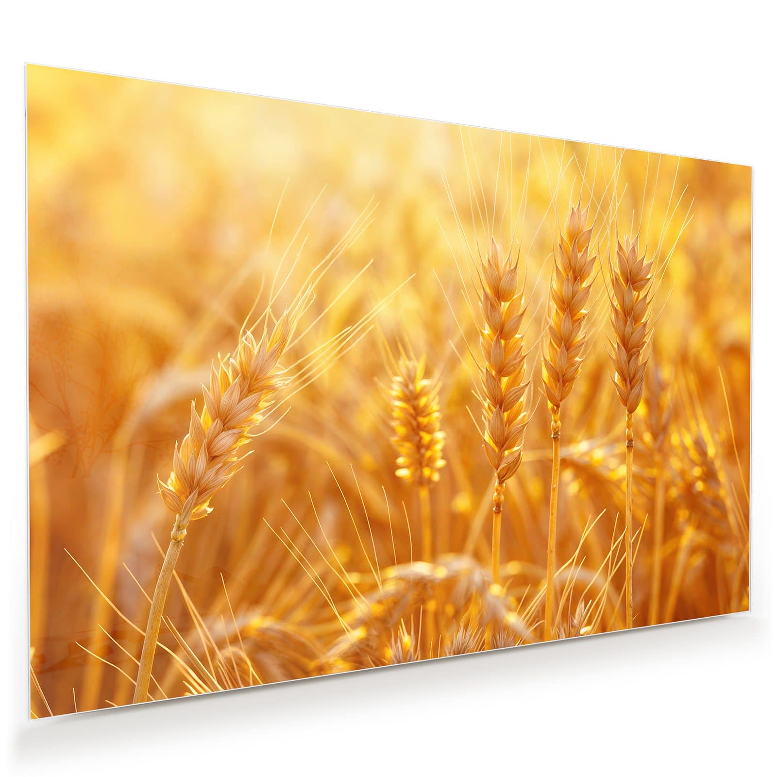 #grösse_45 x 30 cm #grösse_60 x 40 cm #grösse_75 x 50 cm #grösse_90 x 60 cm #grösse_120 x 80 cm