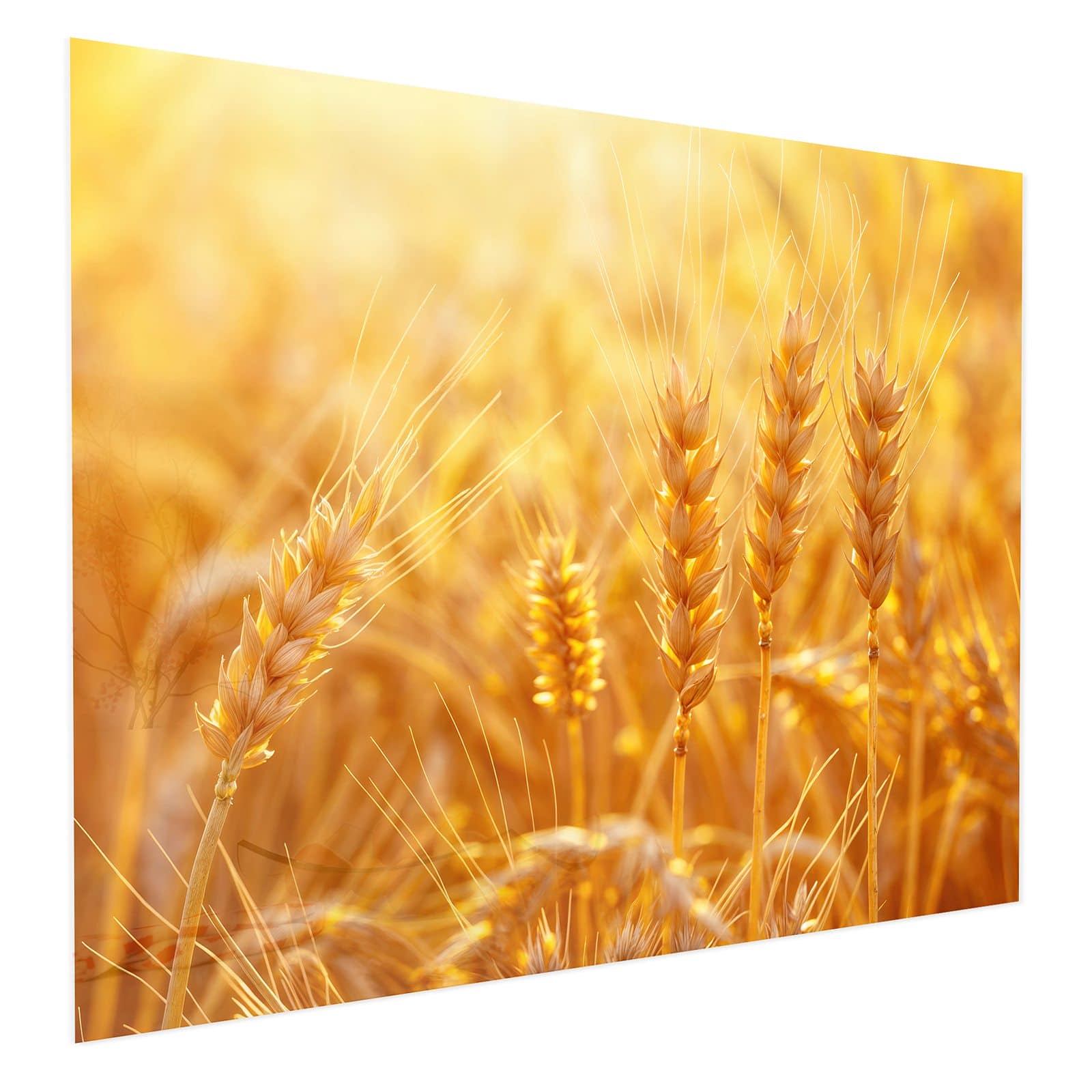 #grösse_75 x 60 cm #grösse_100 x 80 cm