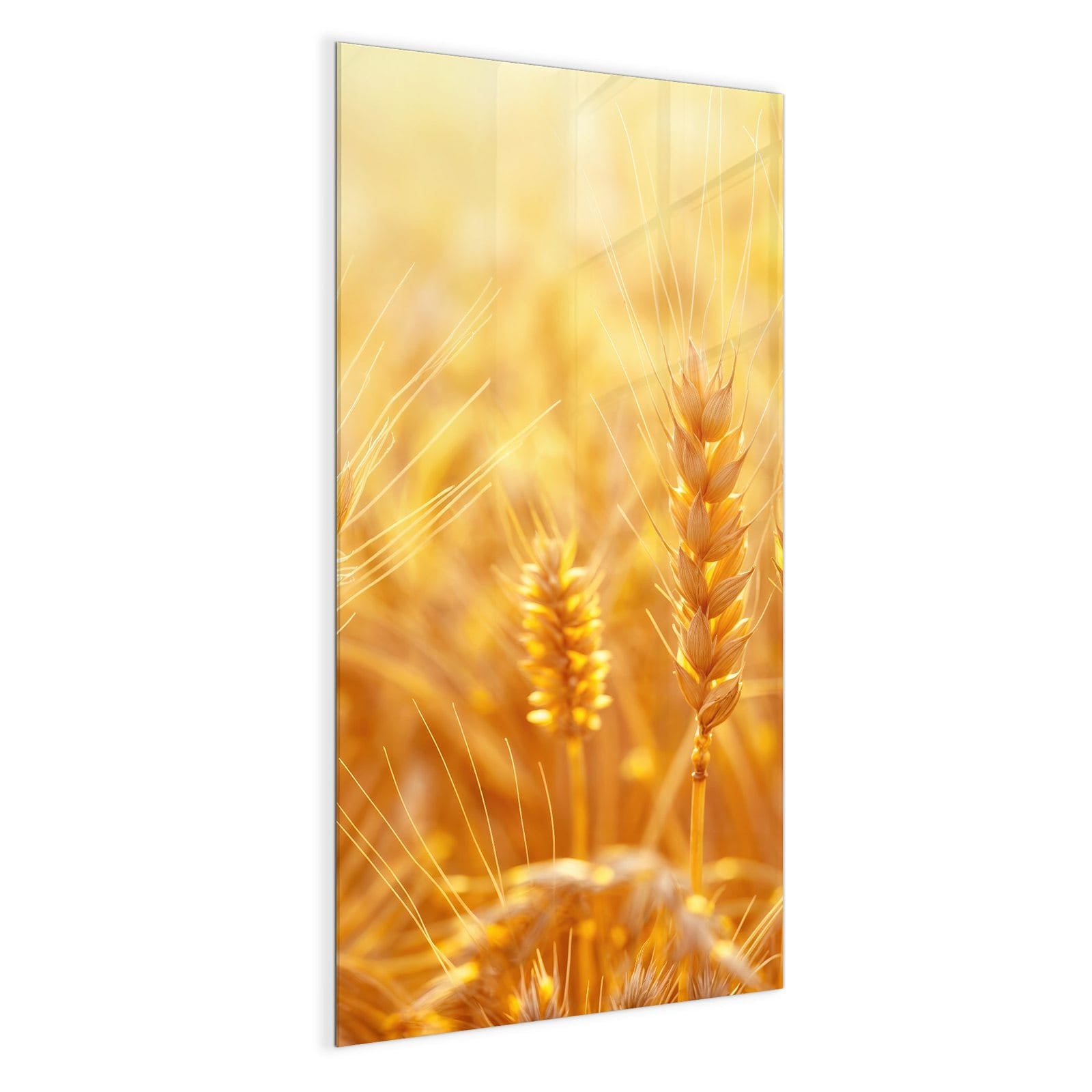 #grösse_50 x 100 cm