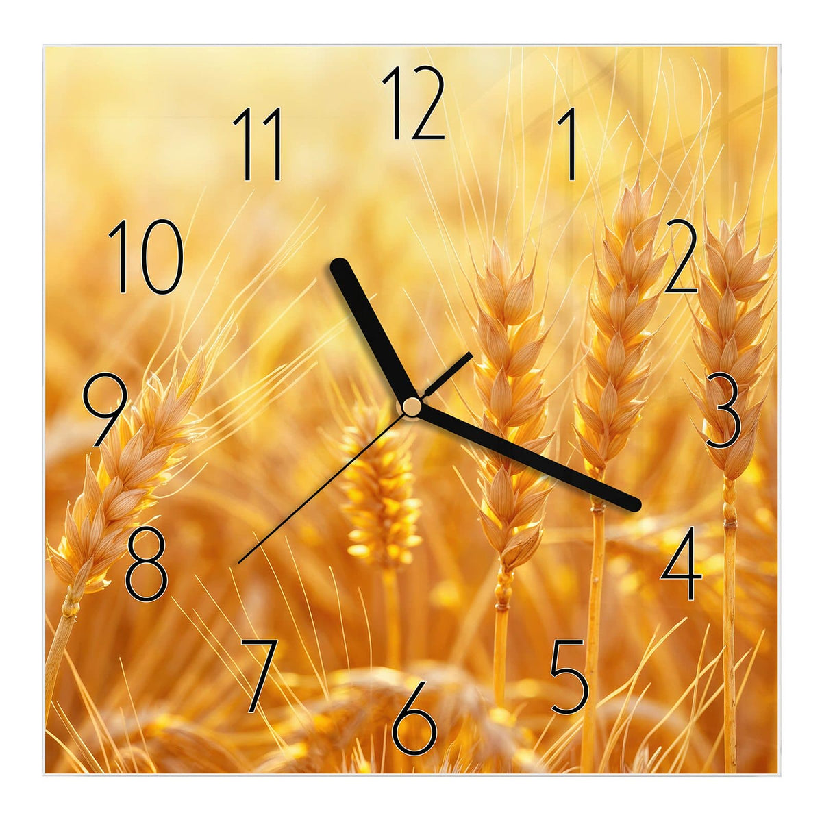Wanduhr aus Glas, Ziffernblatt Elegant: Nahaufnahme reifer Weizenähren im goldgelben Gegenlicht, Hintergrund unscharf #ziffernblatt_Elegant