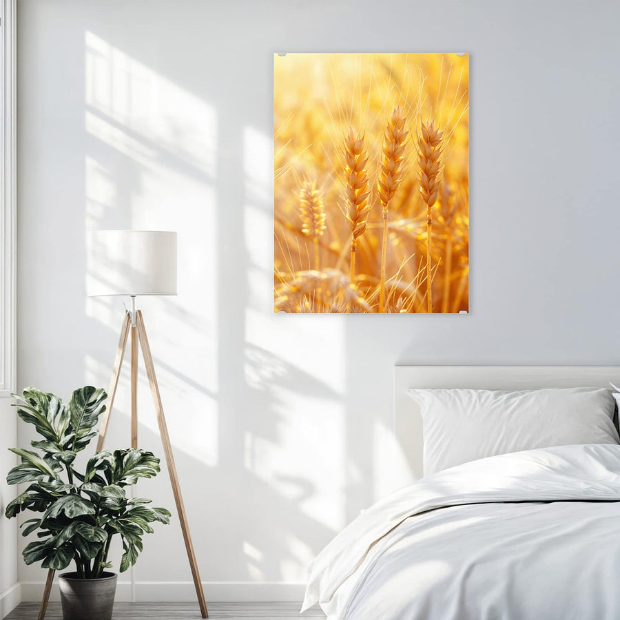 Maße Wandbild - Weizen im Gegenlicht - Hochformat