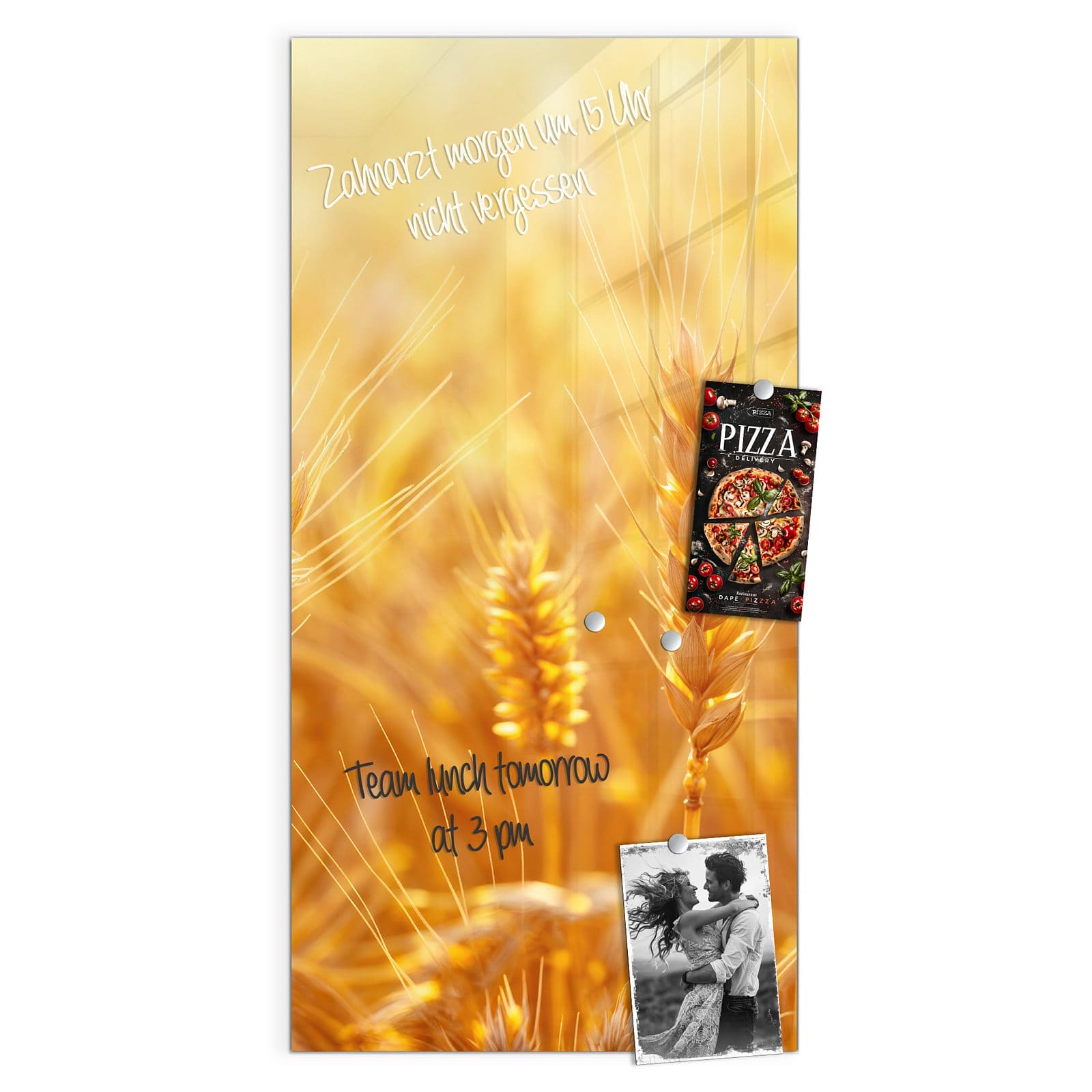 #grösse_50 x 100 cm