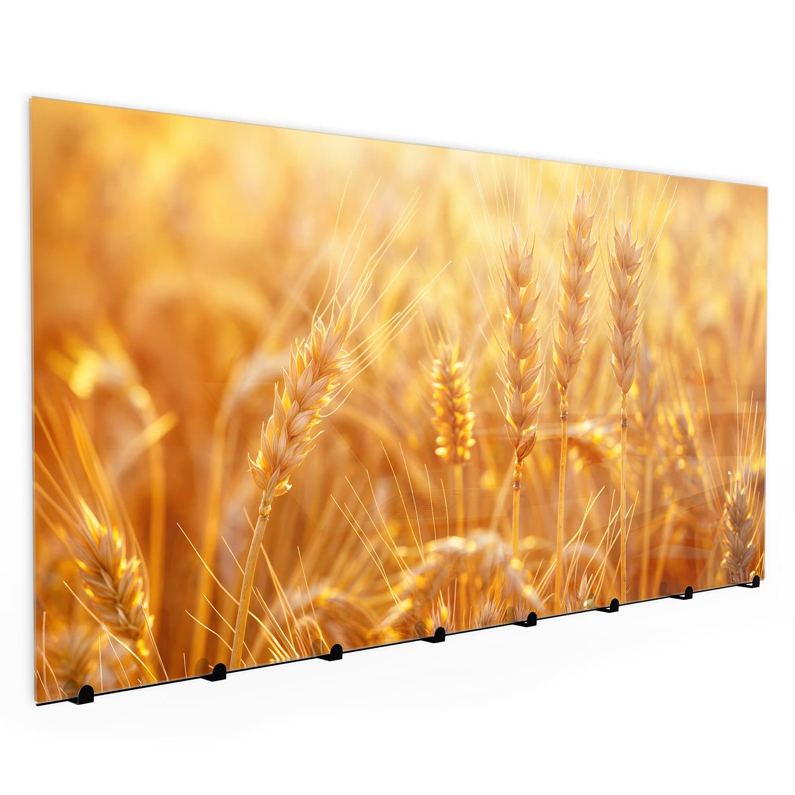 #grösse_30 x 60 cm