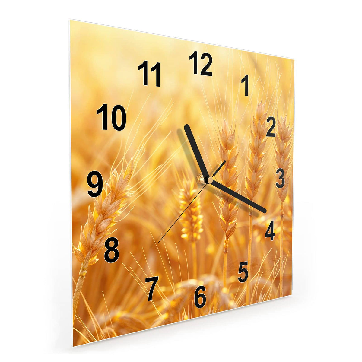 Quadratische Wanduhr aus Glas Weizen im Gegenlicht schräg von der Seite, 4 mm starkes Glas