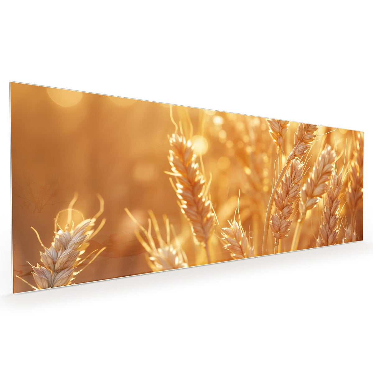 Küchenrückwand aus Glas im Hochformat: Reife Weizenähren in Nahaufnahme vor goldenem Bokeh #grösse_40 x 100 cm #grösse_50 x 125 cm #grösse_60 x 150 cm