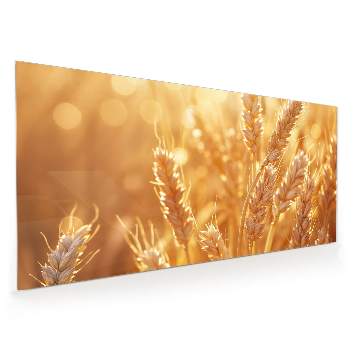 Küchenrückwand aus Glas im Hochformat: Reife Weizenähren in Nahaufnahme vor goldenem Bokeh