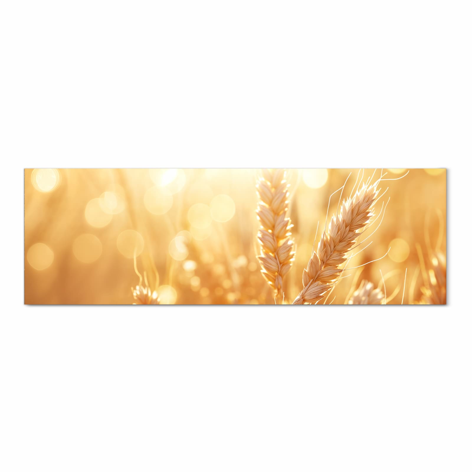 Großer Küchenteppich mit Motiv Weizenfelder in Frontansicht für optimalen Trittkomfort