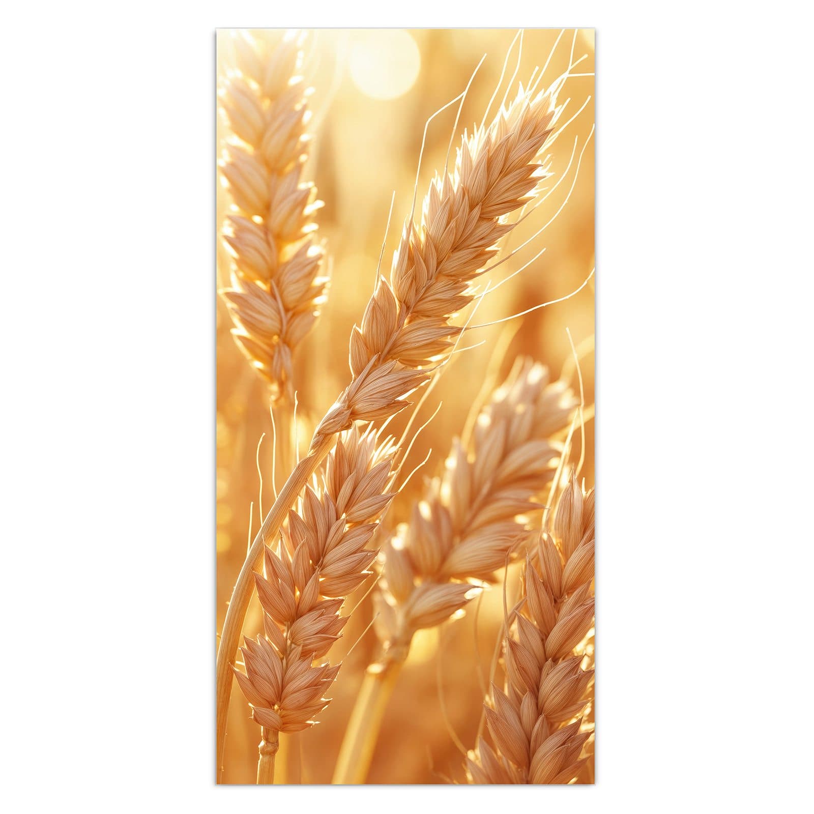 #grösse_30 x 60 cm #grösse_40 x 80 cm #grösse_50 x 100 cm #grösse_55 x 110 cm #grösse_60 x 120 cm