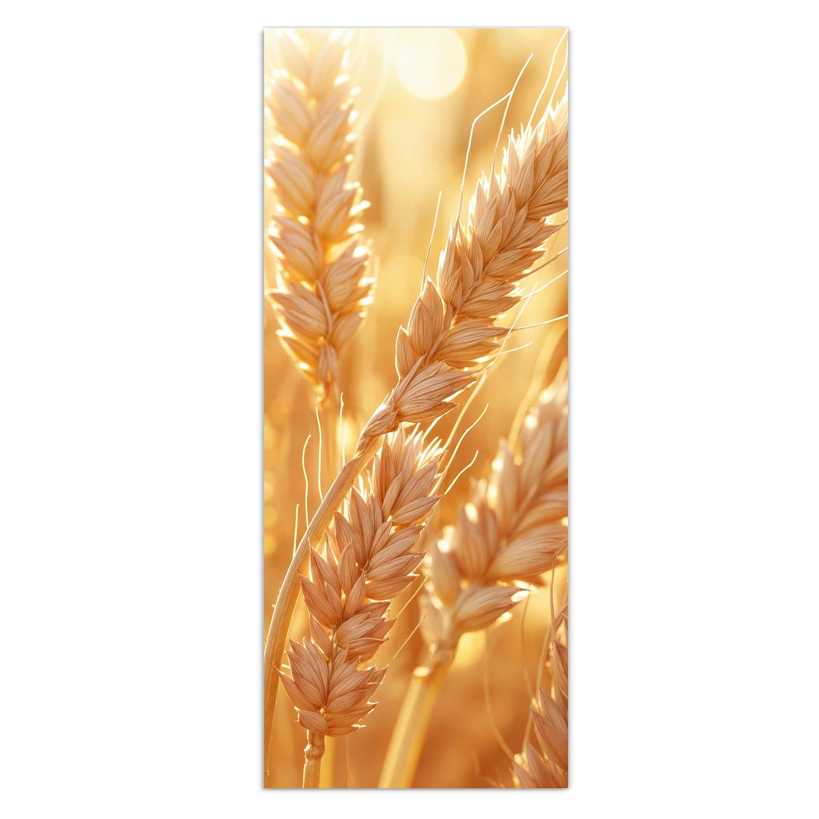 #grösse_50 x 125 cm #grösse_40 x 100 cm #grösse_60 x 150 cm