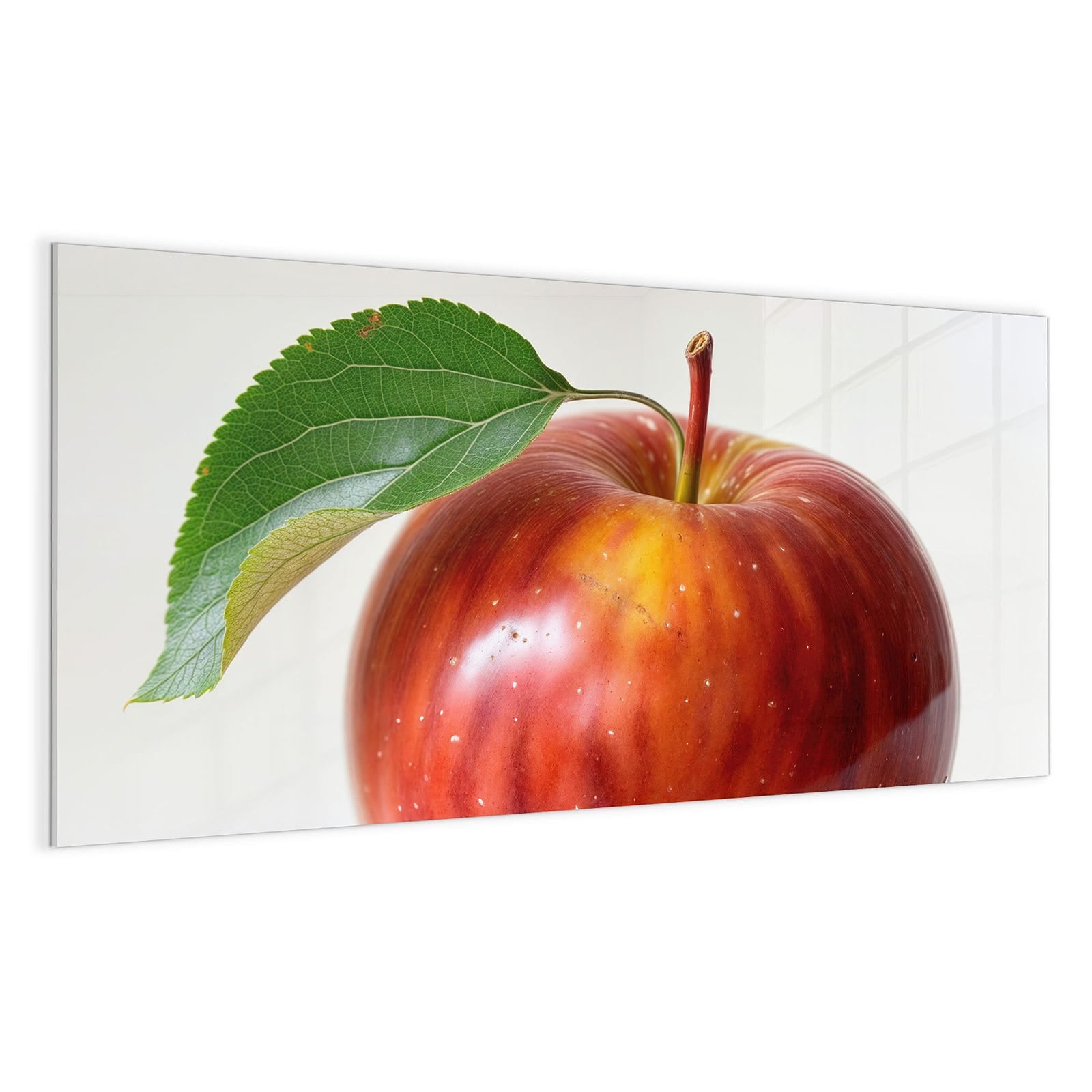 #grösse_100 x 50 cm