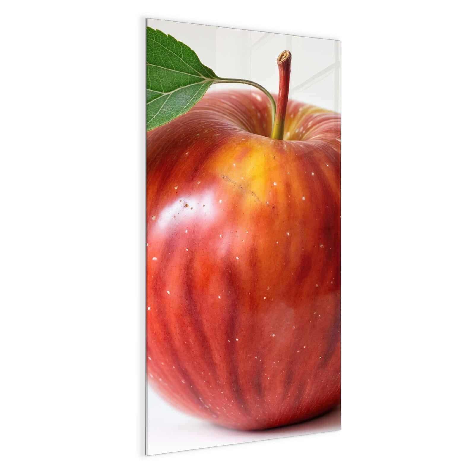 #grösse_50 x 100 cm