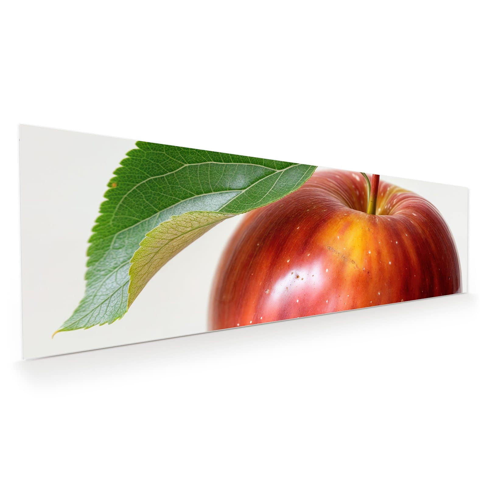 #grösse_120 x 40 cm