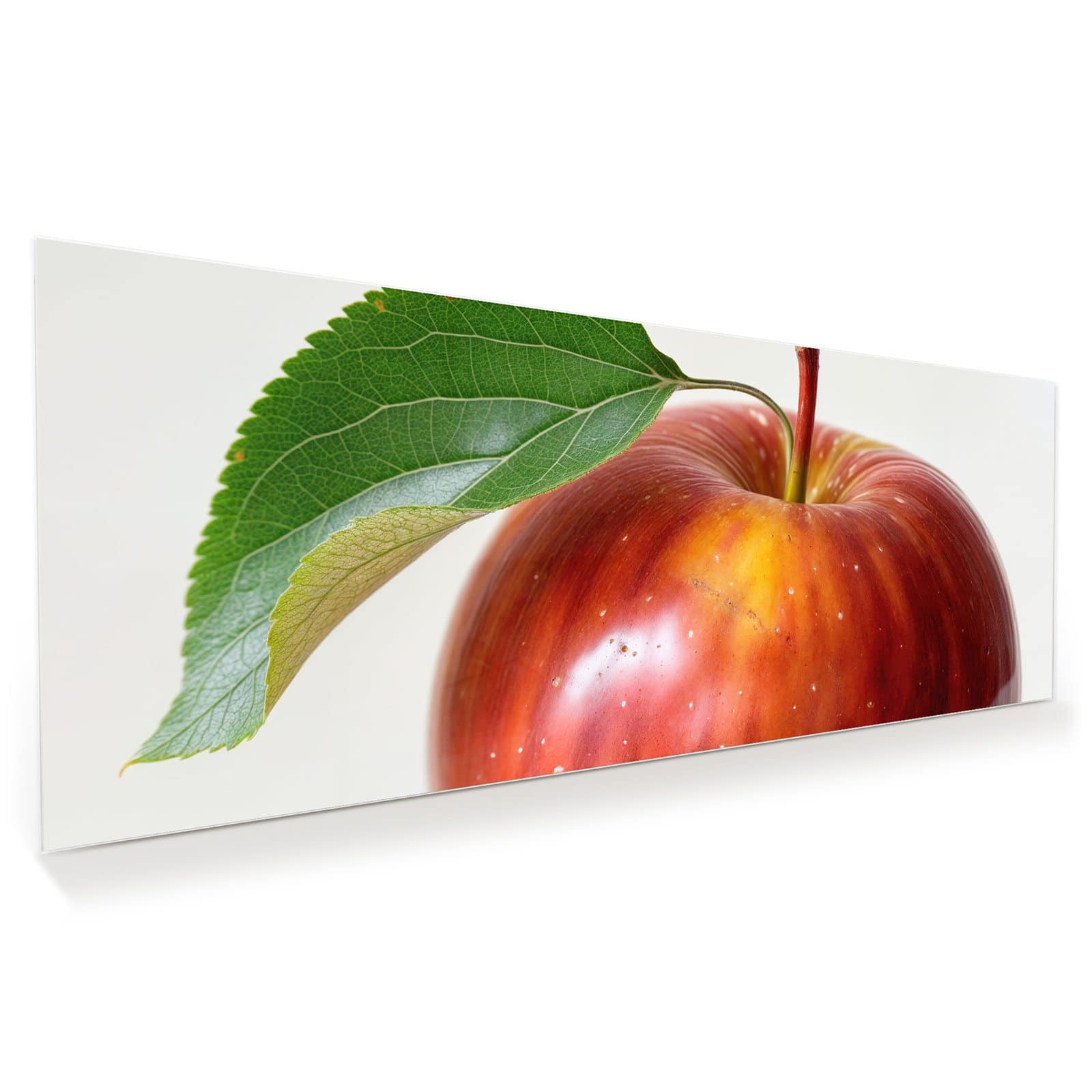 #grösse_100 x 40 cm #grösse_125 x 50 cm #grösse_150 x 60 cm