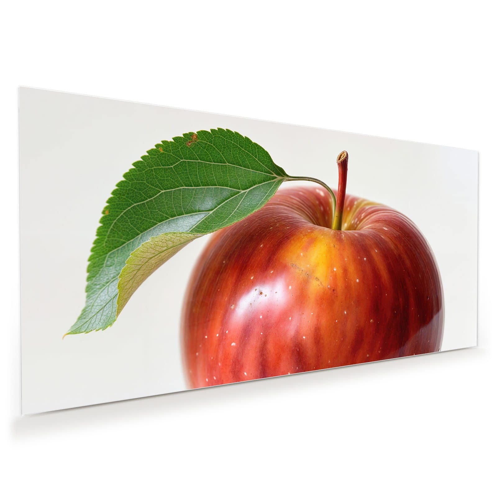 #grösse_60 x 30 cm #grösse_80 x 40 cm #grösse_100 x 50 cm #grösse_110 x 55 cm #grösse_120 x 60 cm