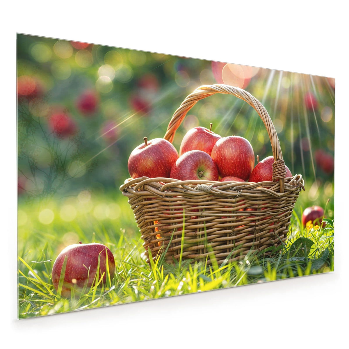 Küchenrückwand aus Glas im Hochformat mit Motiv Korb mit roten Äpfeln: Weidenkorb voller roter Äpfel im Gras, Sonnenstrahlen durch die Bäume dahinter