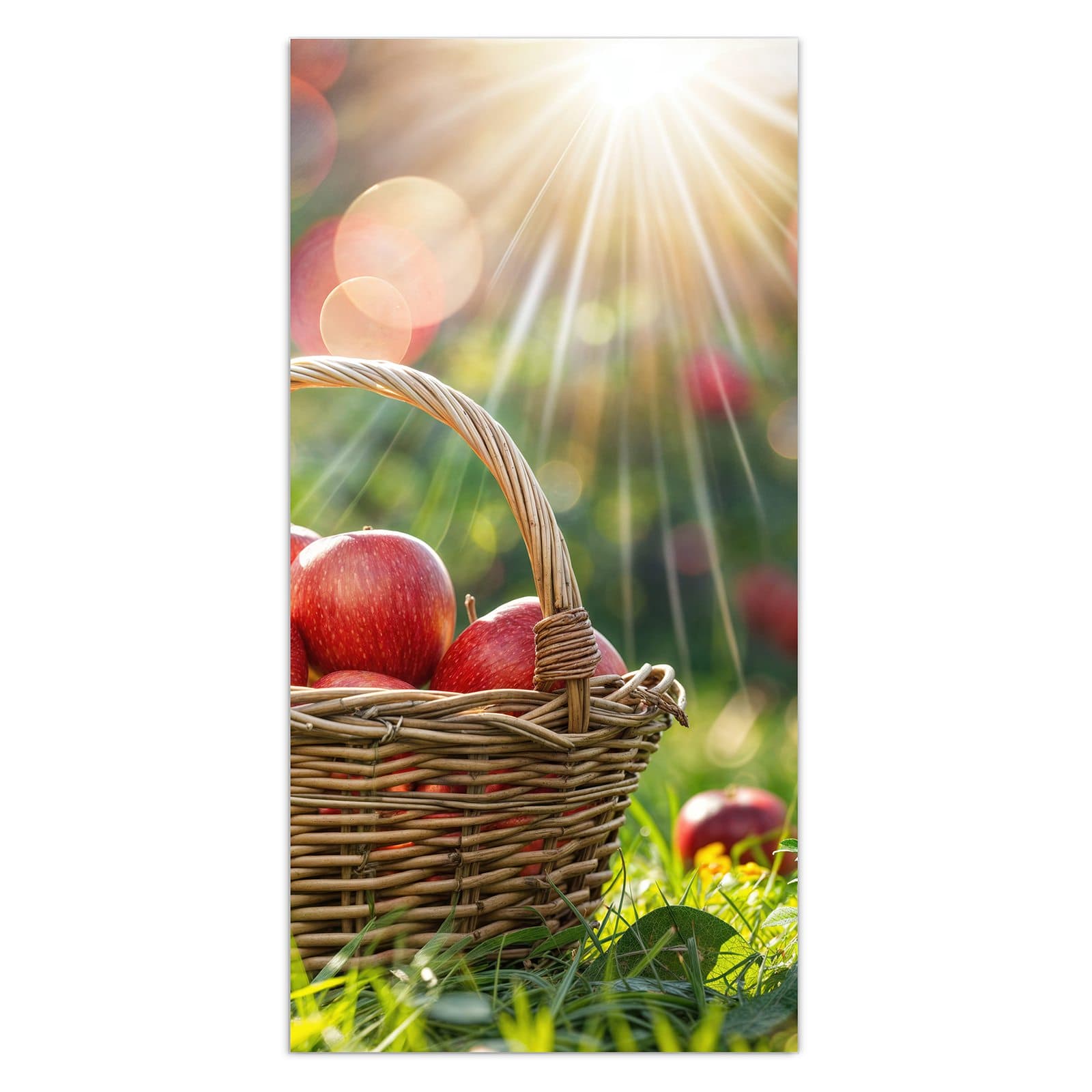 #grösse_30 x 60 cm #grösse_40 x 80 cm #grösse_50 x 100 cm #grösse_55 x 110 cm #grösse_60 x 120 cm