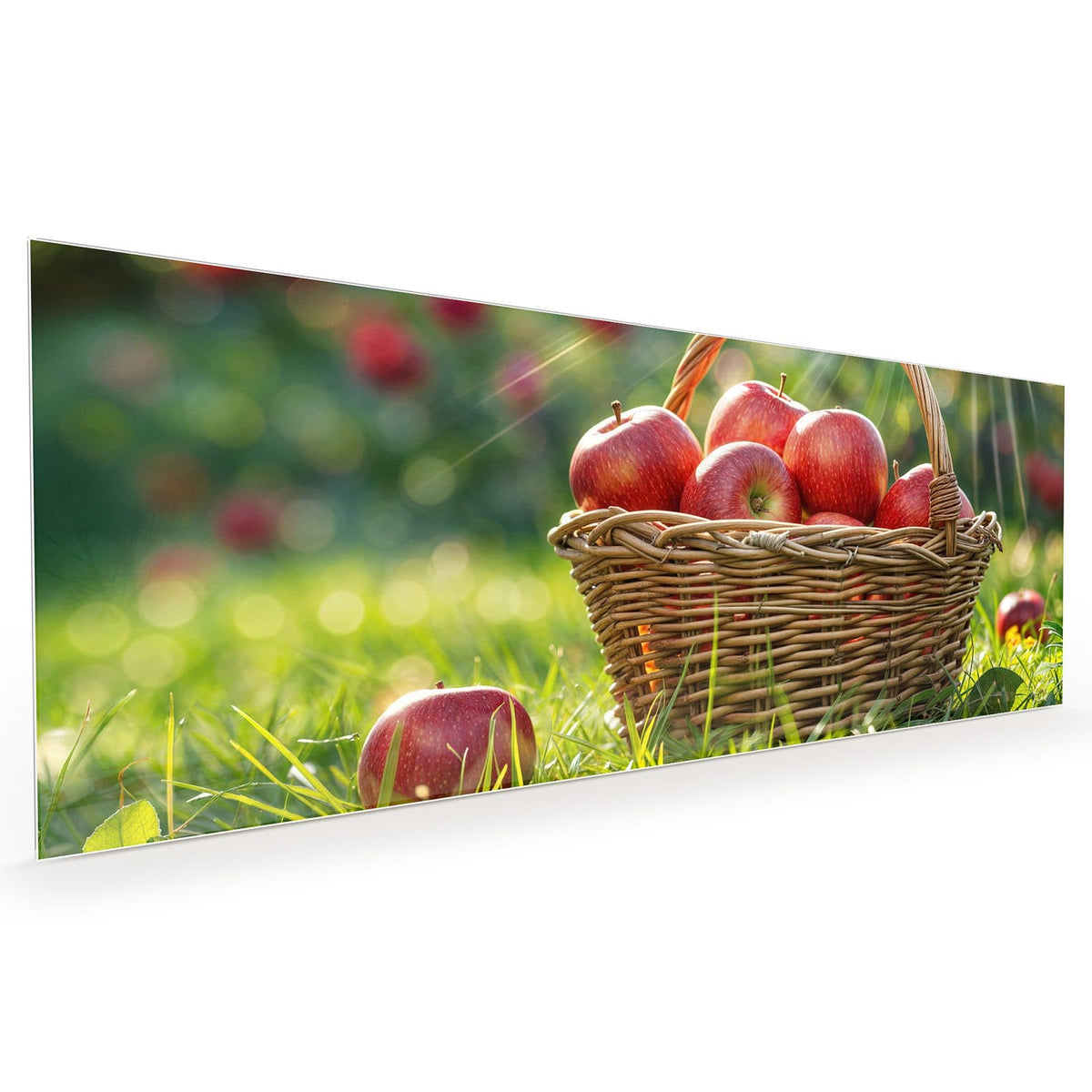 #grösse_40 x 100 cm #grösse_50 x 125 cm #grösse_60 x 150 cm