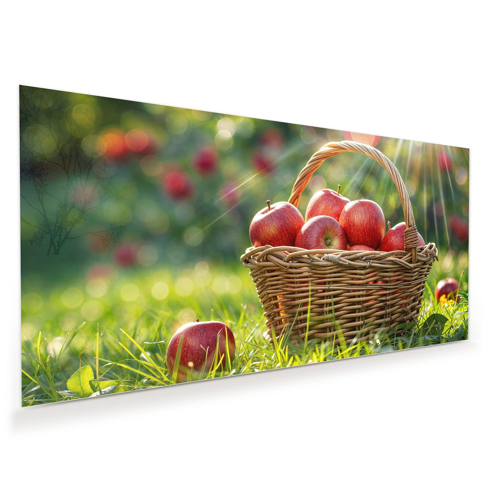 #grösse_60 x 30 cm #grösse_80 x 40 cm #grösse_100 x 50 cm #grösse_110 x 55 cm #grösse_120 x 60 cm