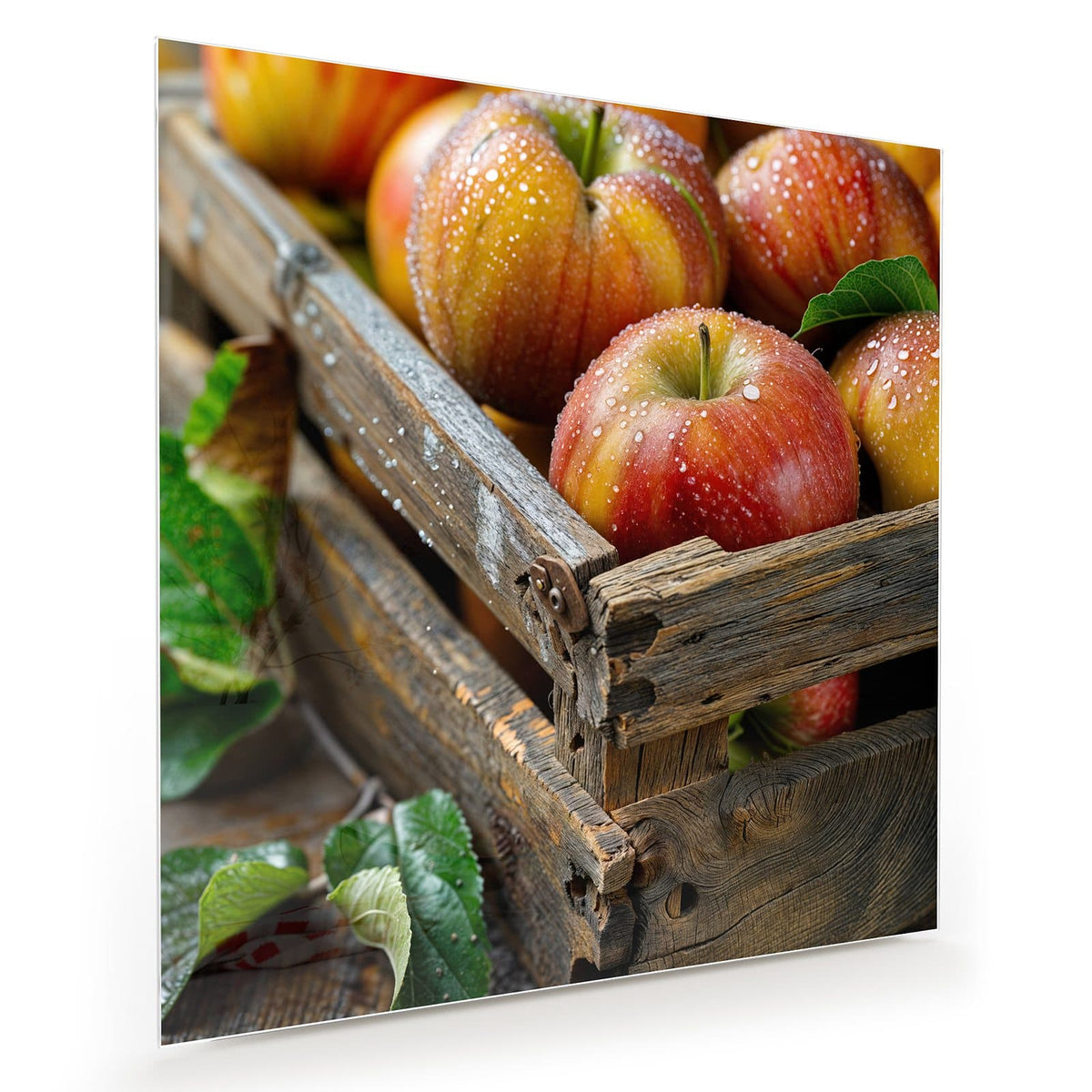 Rotgelbe Äpfel mit Wassertropfen in einer groben, verwitterten Holzkiste
