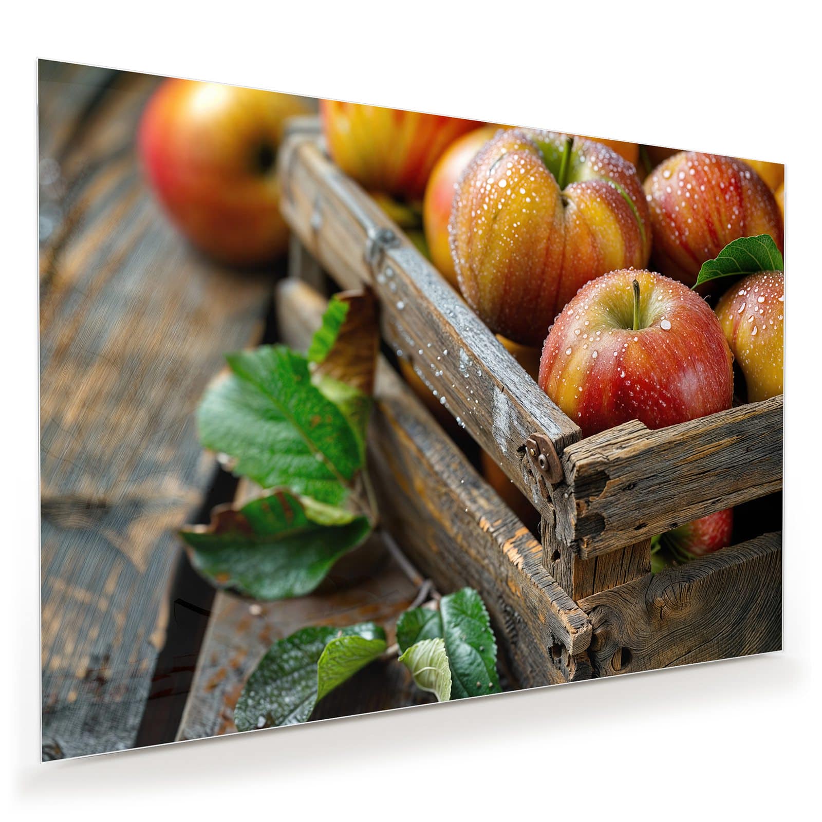 #grösse_100 x 70 cm