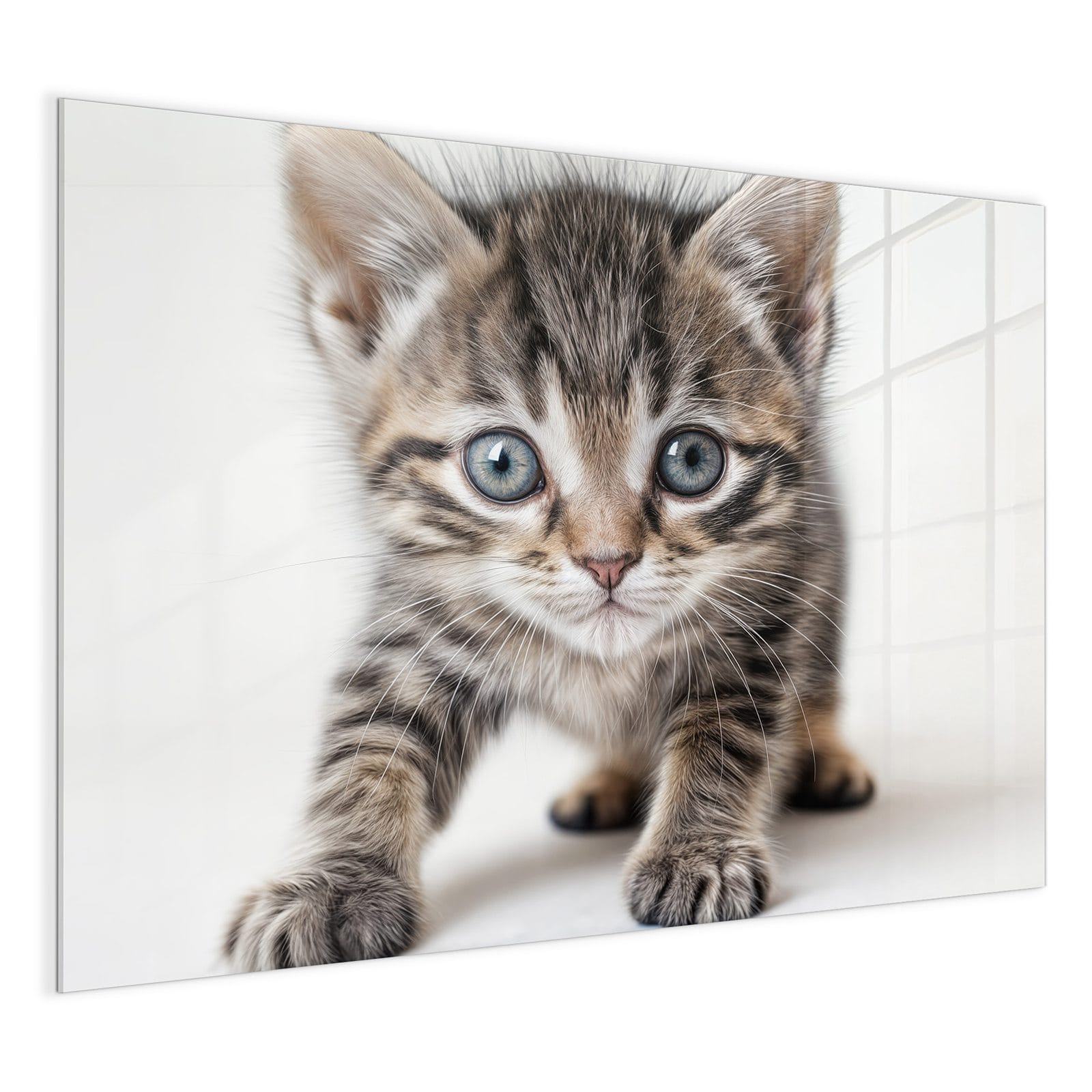 #grösse_120 x 90 cm