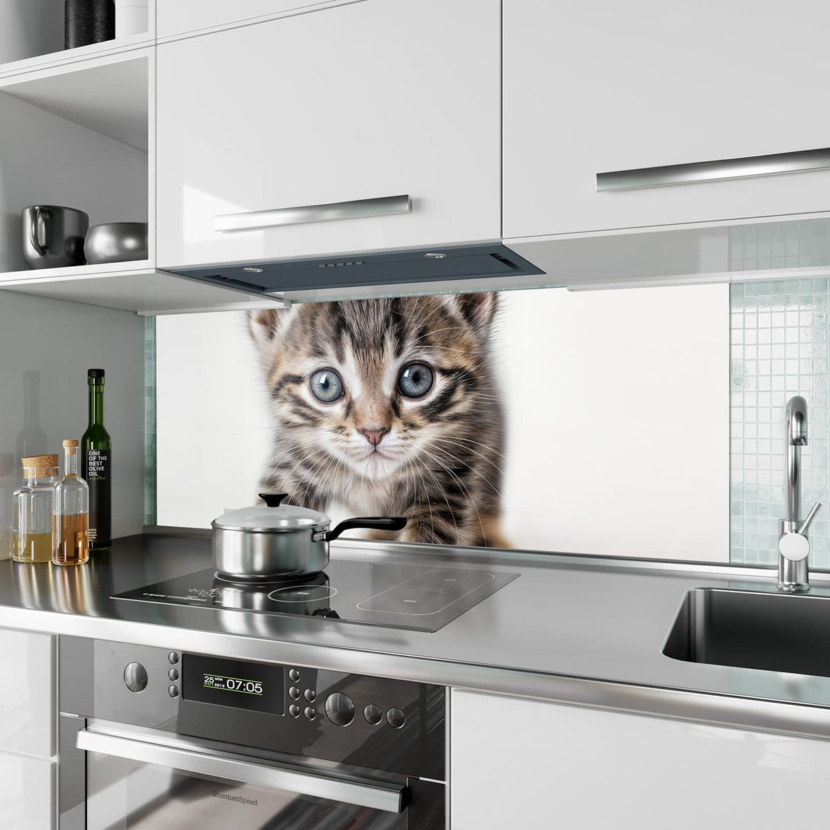 Küchenrückwand Kätzchen auf Weiß aus Glas – Getigertes Kätzchen mit grauen Augen
