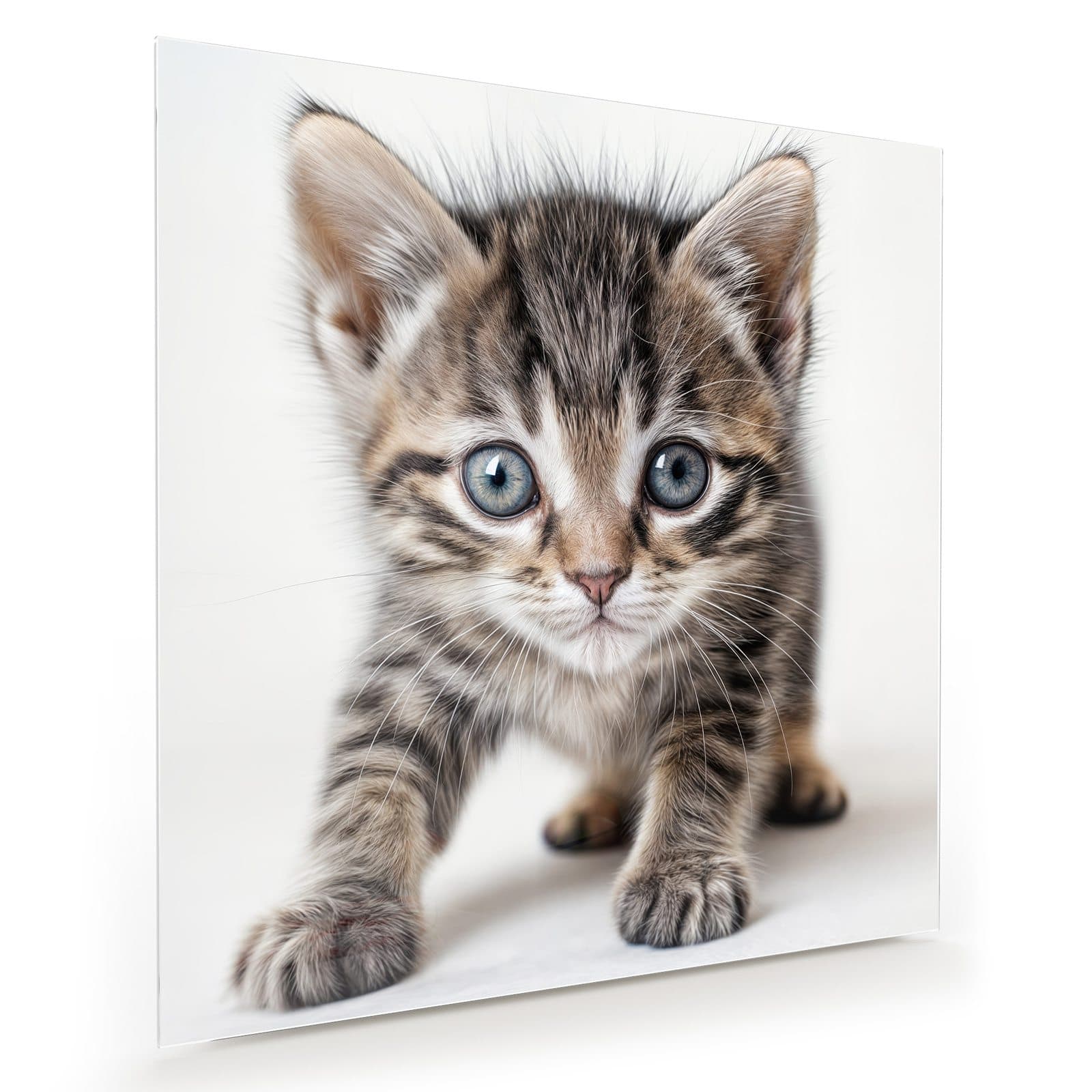 #grösse_30 x 30 cm #grösse_40 x 40 cm #grösse_50 x 50 cm #grösse_60 x 60 cm #grösse_70 x 70 cm #grösse_80 x 80 cm #grösse_90 x 90 cm #grösse_100 x 100 cm