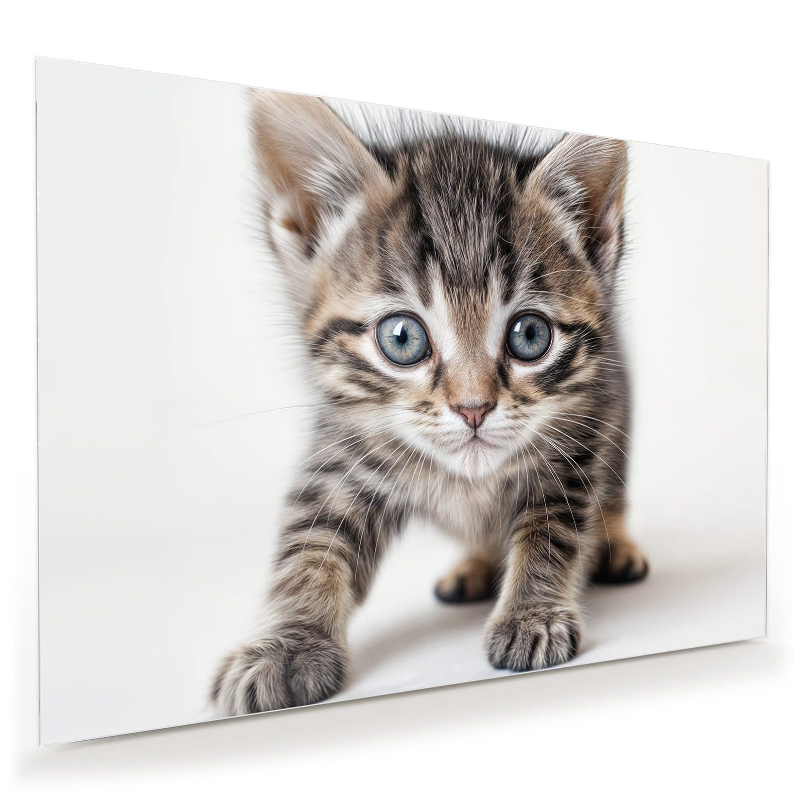 #grösse_100 x 70 cm