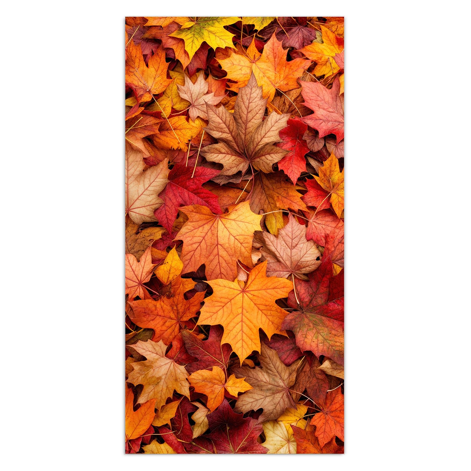 #grösse_30 x 60 cm #grösse_40 x 80 cm #grösse_50 x 100 cm #grösse_55 x 110 cm #grösse_60 x 120 cm