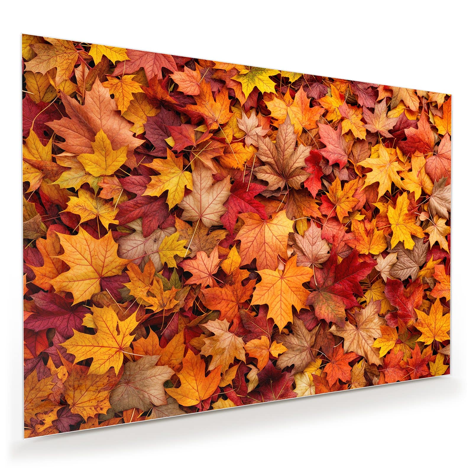 #grösse_100 x 70 cm