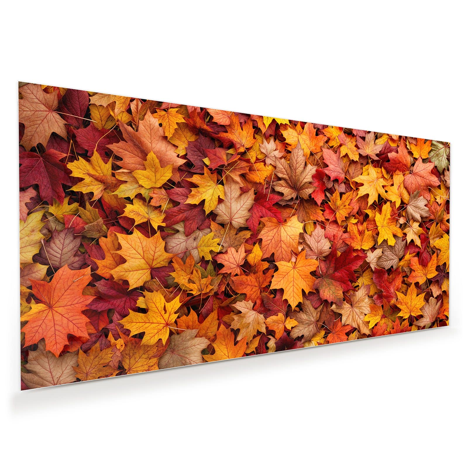 #grösse_60 x 30 cm #grösse_80 x 40 cm #grösse_100 x 50 cm #grösse_110 x 55 cm #grösse_120 x 60 cm