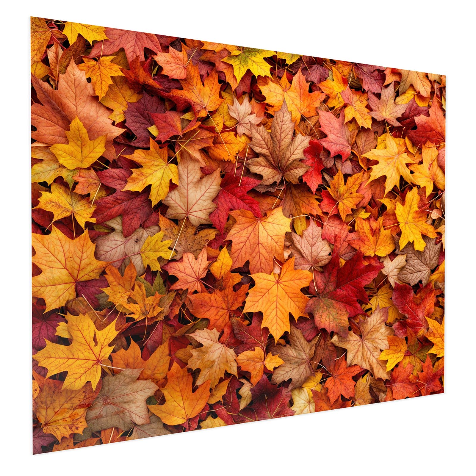 #grösse_75 x 60 cm #grösse_100 x 80 cm