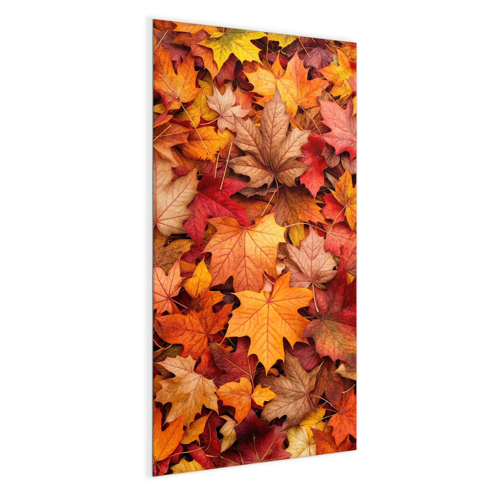 #grösse_50 x 100 cm