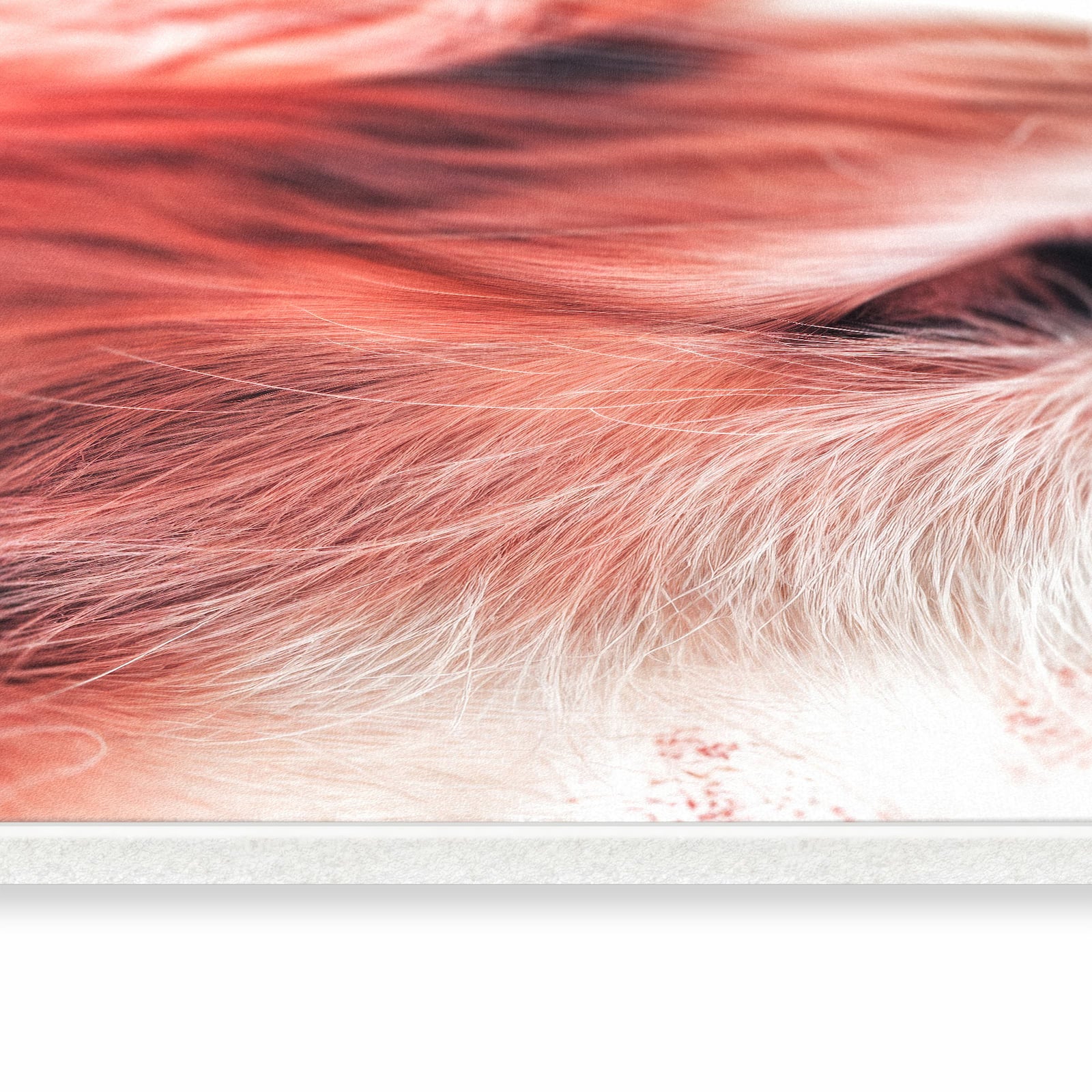 Geruchsneutraler dünner Teppich mit Motiv Katze Profil Rouge in seitlicher Ansicht