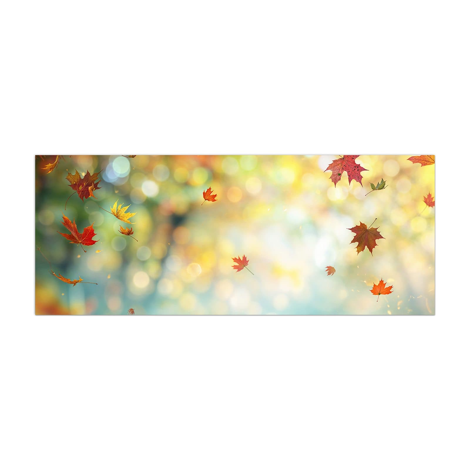 #grösse_40 x 100 cm #grösse_50 x 125 cm #grösse_60 x 150 cm