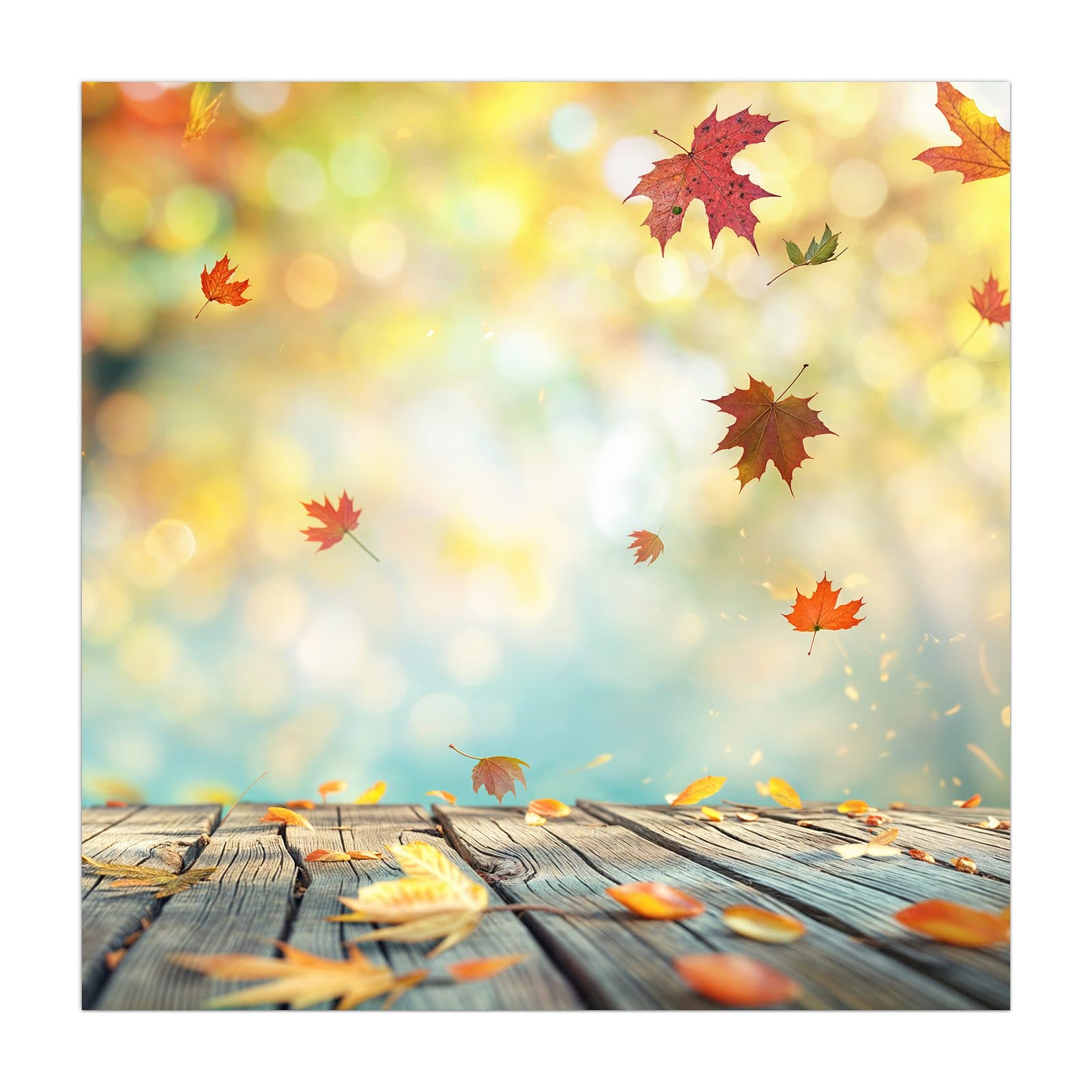 #grösse_40 x 40 cm #grösse_50 x 50 cm #grösse_55 x 55 cm #grösse_60 x 60 cm #grösse_65 x 65 cm #grösse_70 x 70 cm